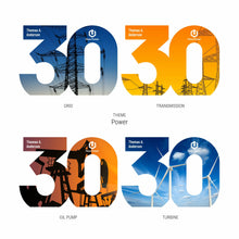 Load image into Gallery viewer, Numero Award - 30 Years of Service