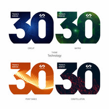 Load image into Gallery viewer, Numero Award - 30 Years of Service